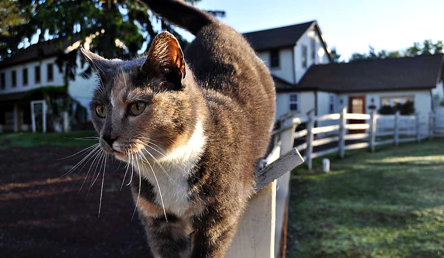 Historic Bed and Breakfast Accommodation Built in 1790 in Bucks County, Pennsylvania