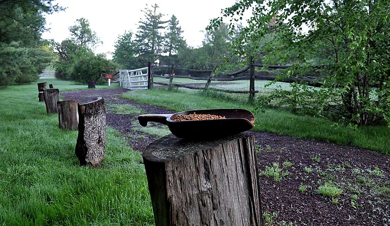 Nature Lodges (Doylestown, Pennsylvania, United States)