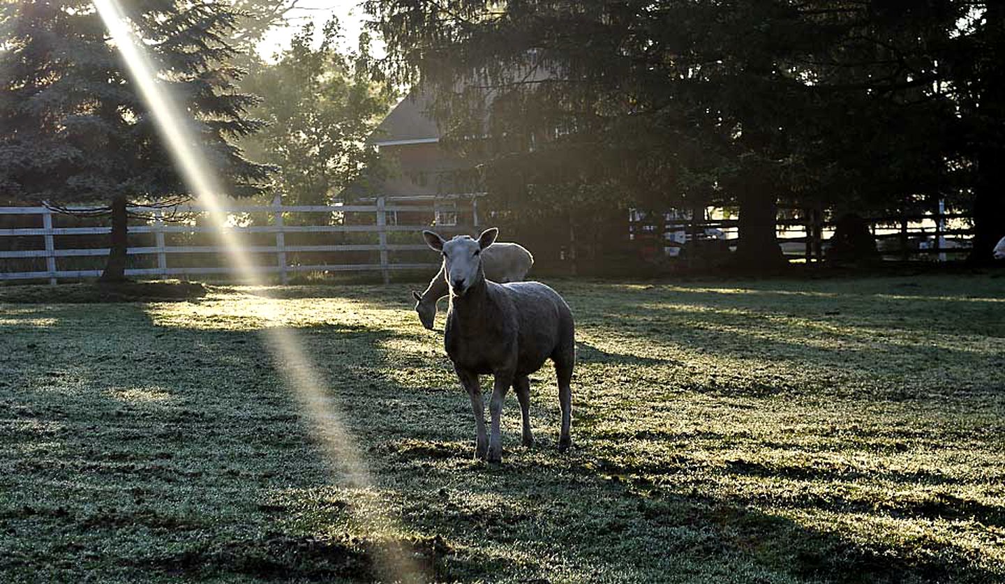 Historic Bed and Breakfast Accommodation Built in 1790 in Bucks County, Pennsylvania