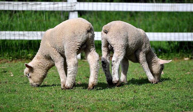 Nature Lodges (Doylestown, Pennsylvania, United States)