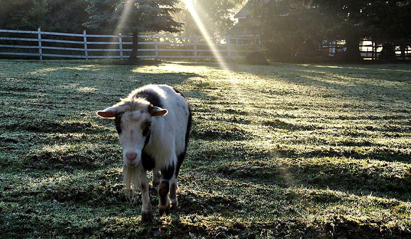Historic Bed and Breakfast Accommodation Built in 1790 in Bucks County, Pennsylvania