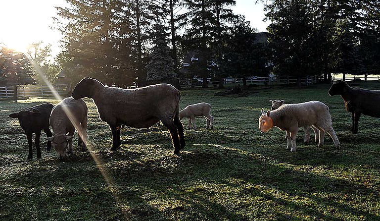 Nature Lodges (Doylestown, Pennsylvania, United States)