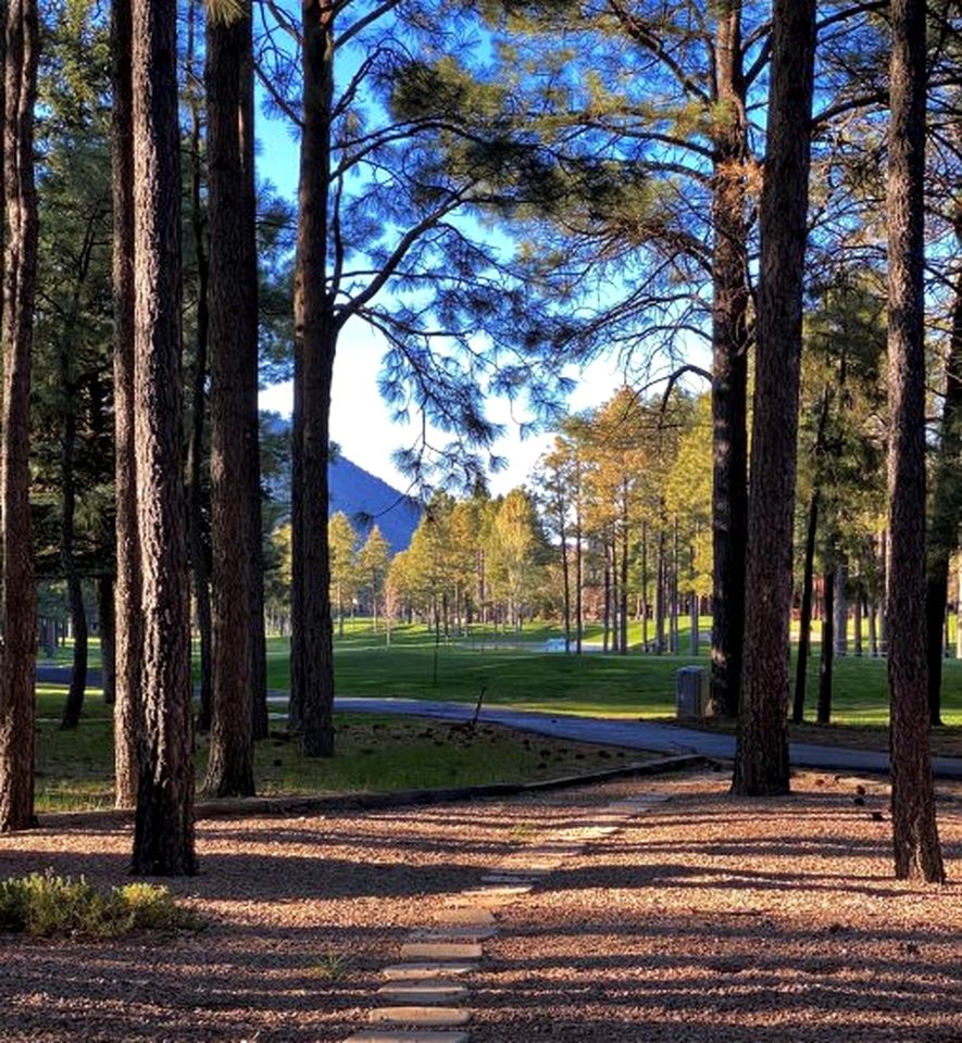 Charming Southwestern Style Cabin with Views of Mount Elden, Perfect for a Retreat to Northern Arizona