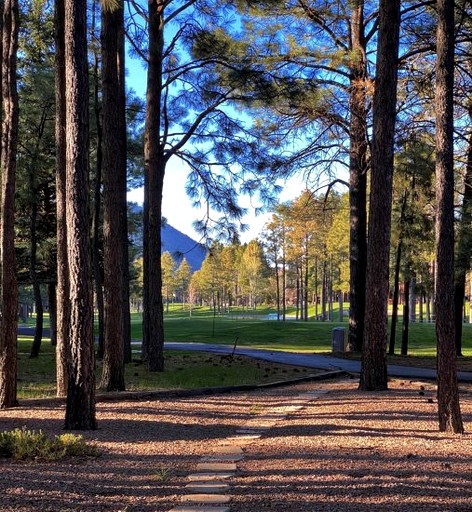 Vacation Rentals (United States of America, Flagstaff, Arizona)