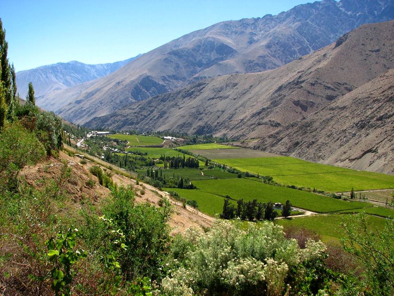 Spectacular Astro-Glamping Dome Getaway near the Puclaro Reservoir in Chile