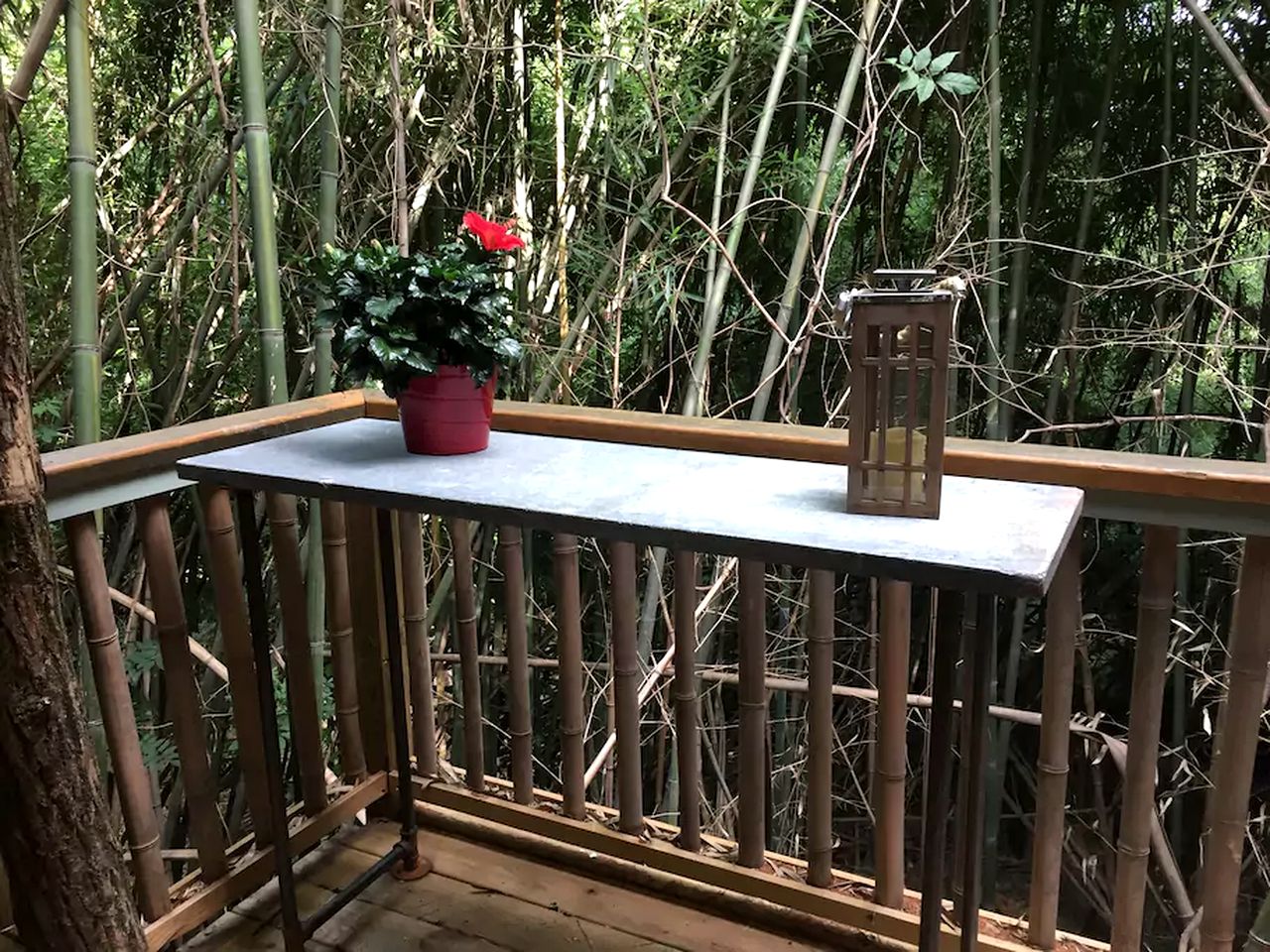 Cozy Alpaca Tree House Rental in the Bamboo Forest in Atlanta, Georgia