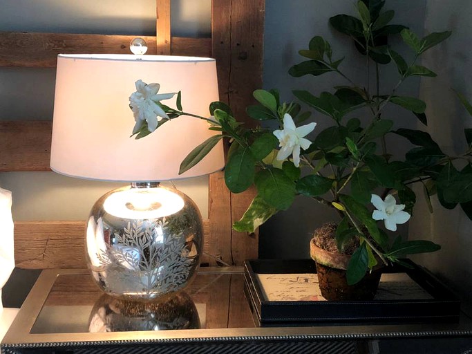 Vacation Rentals (Marshall, Virginia, United States)