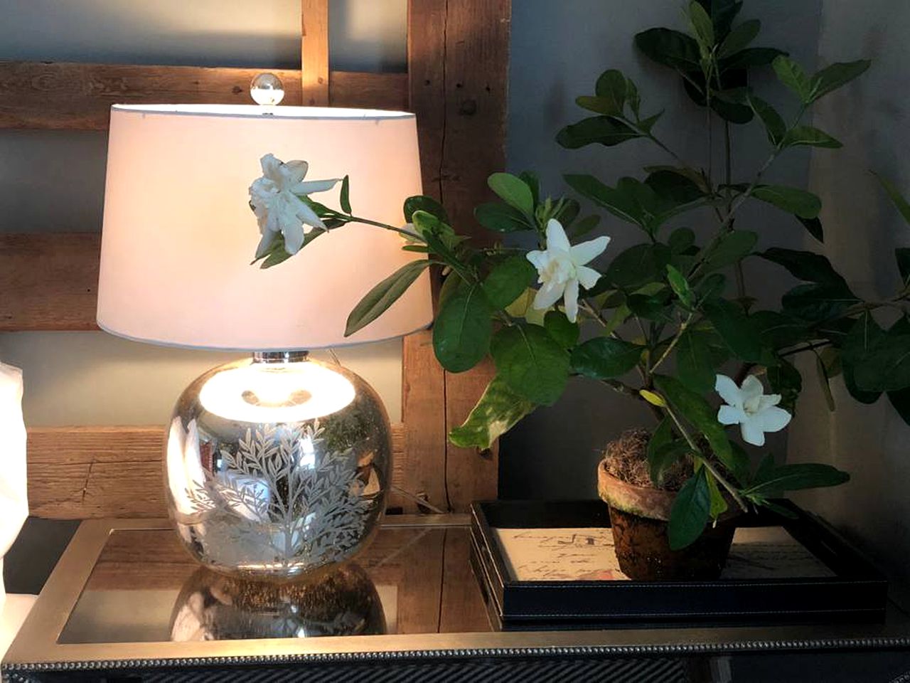 Pet-Friendly Vacation Rental with Stunning Outdoor Living Space near Upperville, Virginia