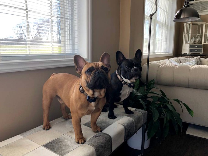 Vacation Rentals (Marshall, Virginia, United States)