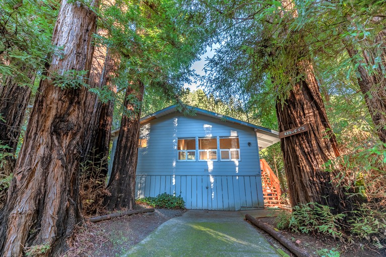 Cottages (United States of America, Monte Rio, California)