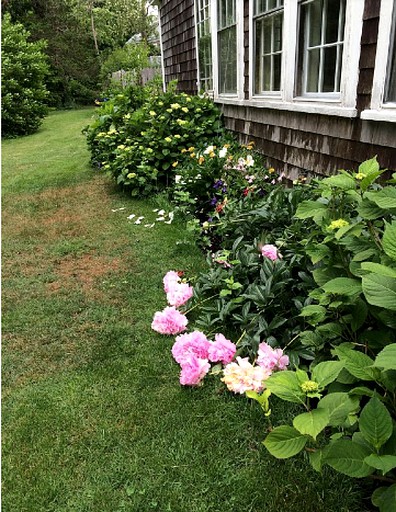 Beach Houses (South Chatham, Massachusetts, United States)