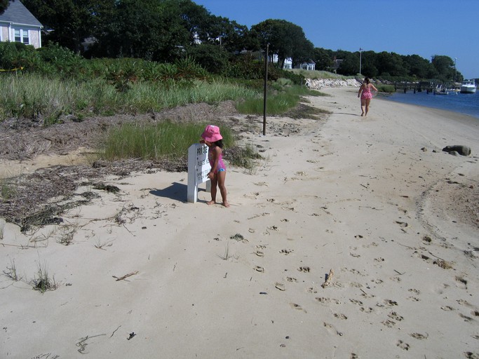 Beach Houses (South Chatham, Massachusetts, United States)