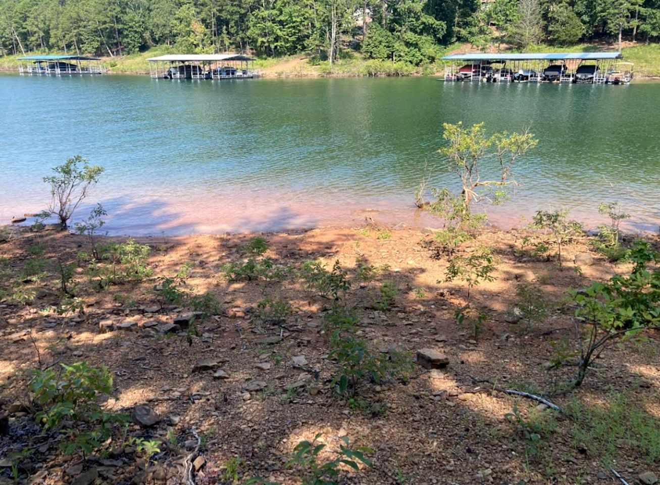 Waterfront Cabin Ideal for Families and Outdoor Adventures in Arkansas