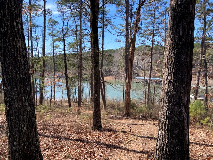 Cabins (United States of America, Fairfield Bay, Arkansas)