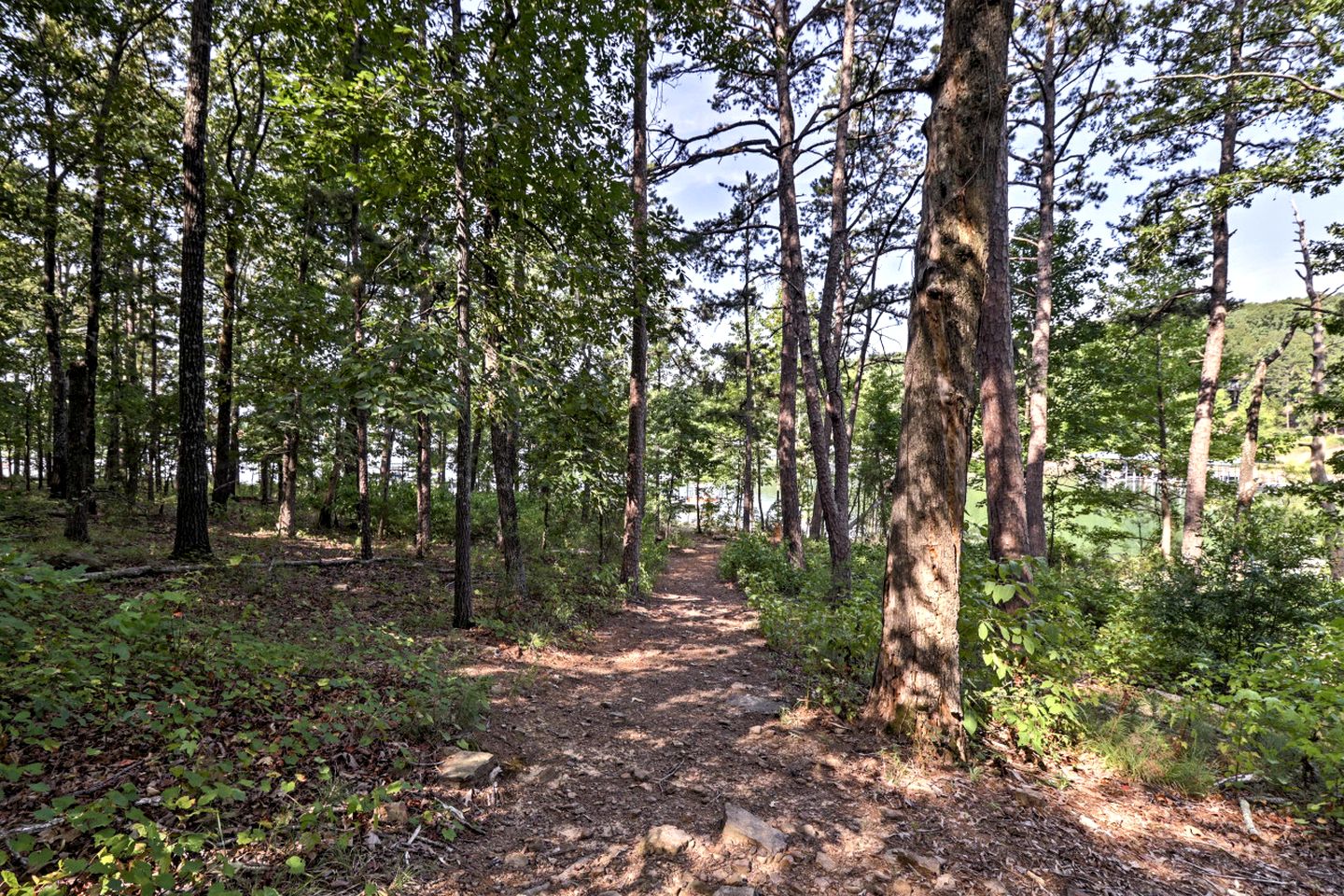 Waterfront Cabin Ideal for Families and Outdoor Adventures in Arkansas