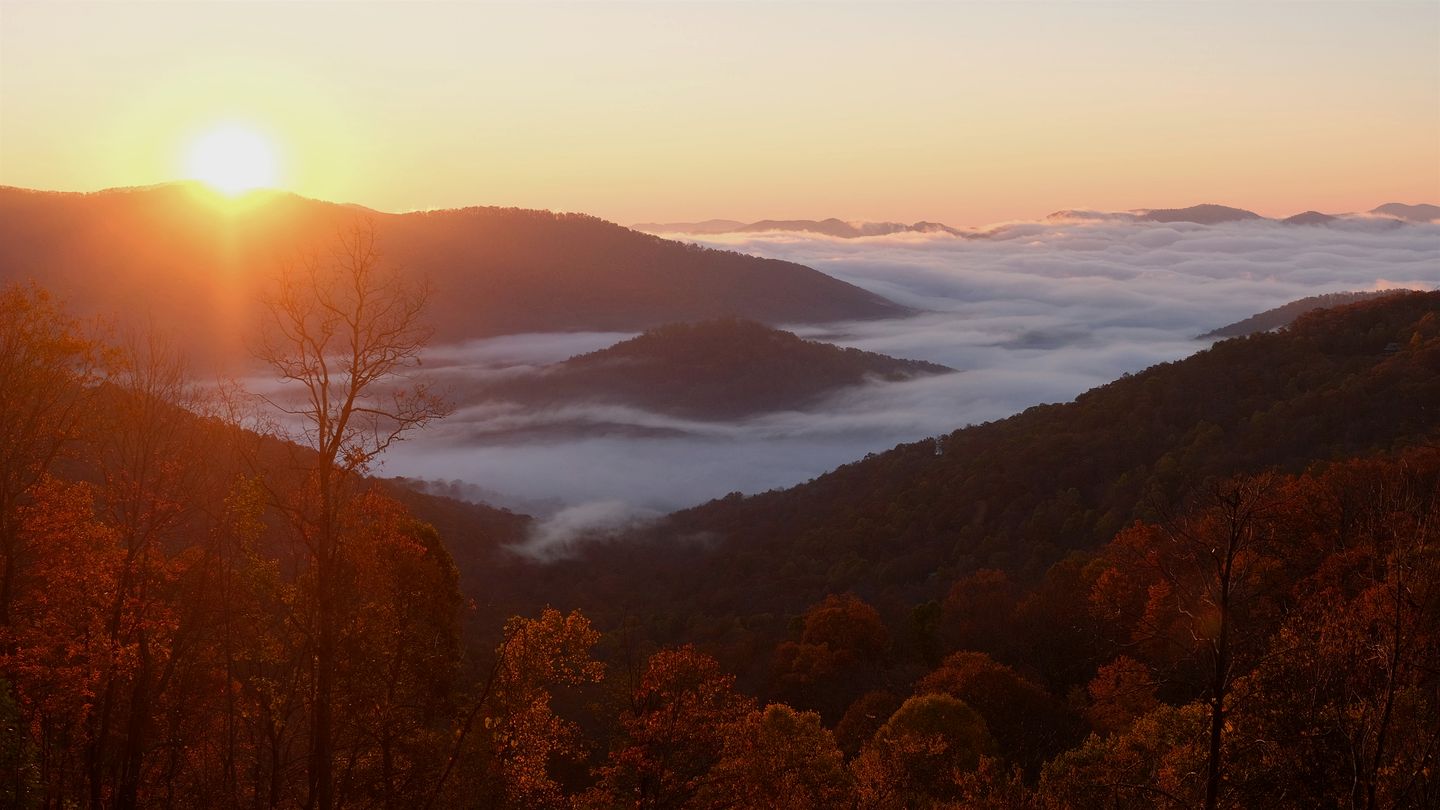 Peaceful Eclectic Mountain Cabin with Screened Porch Near Black Mountain | Black Mountain, NC