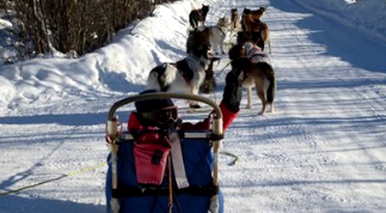 Log Cabins (Fairbanks, Alaska, United States)