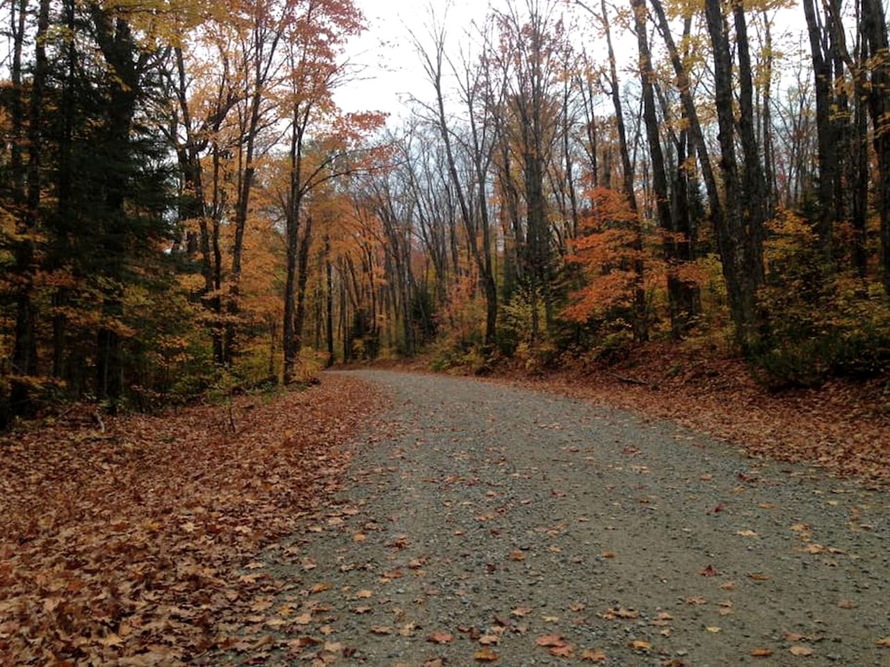 Inviting Cabin Rental near Ski Slopes in Searchmont, Ontario