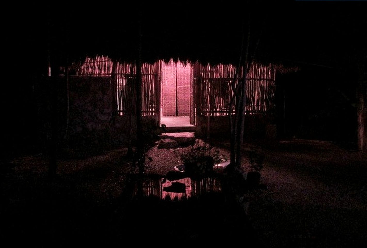 Authentic Mayan Hut nestled between Ancient Ruins of Coba and Tulum, Mexico
