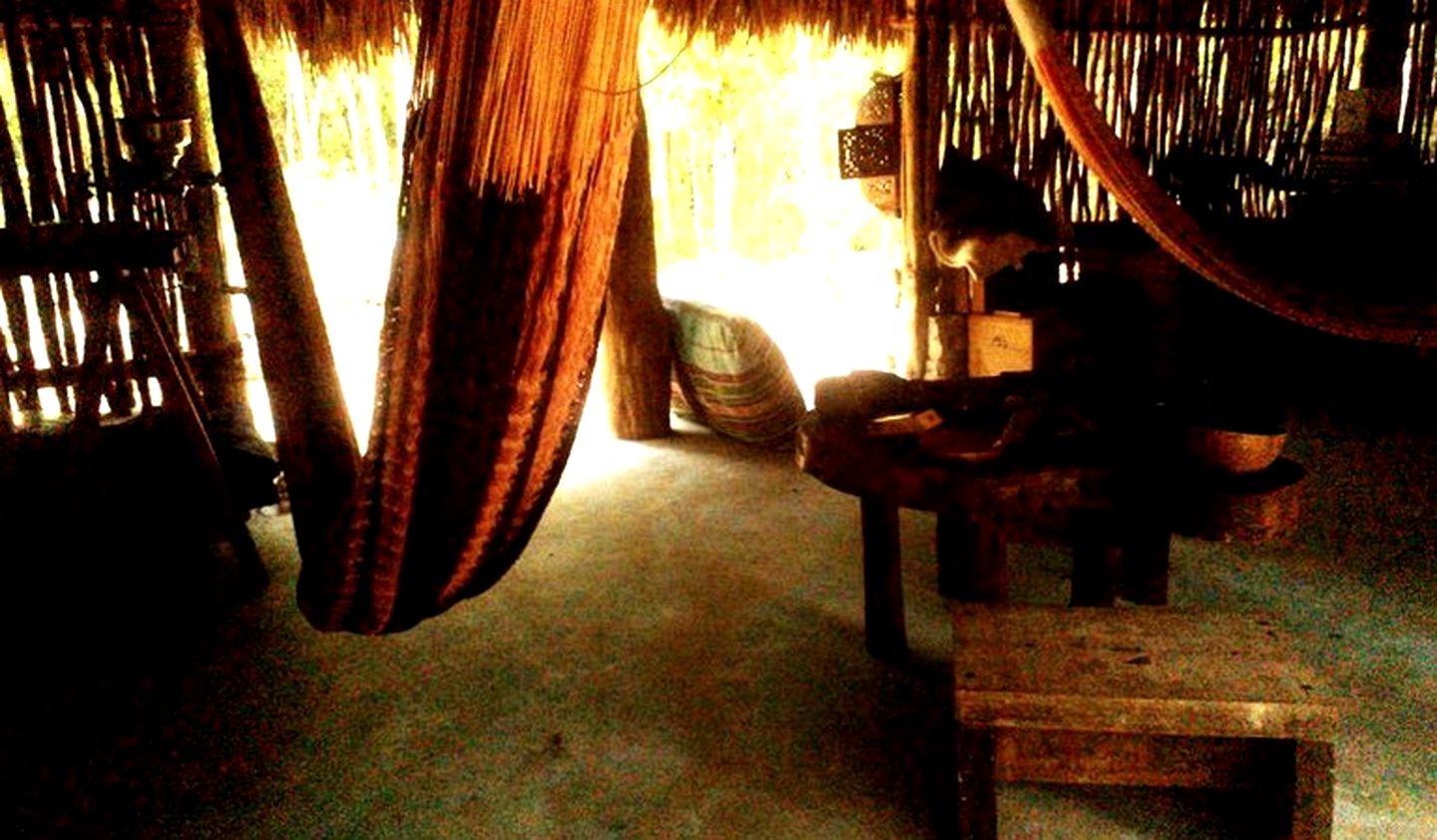 Authentic Mayan Hut nestled between Ancient Ruins of Coba and Tulum, Mexico