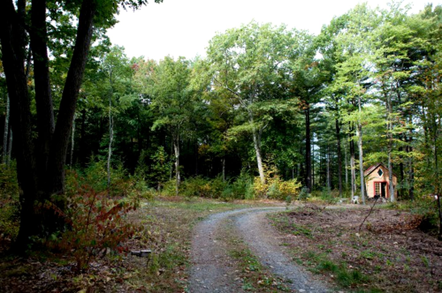 Cabin in Saugerties, New York