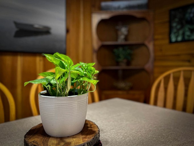 Log Cabins (United States of America, Denmark, Maine)