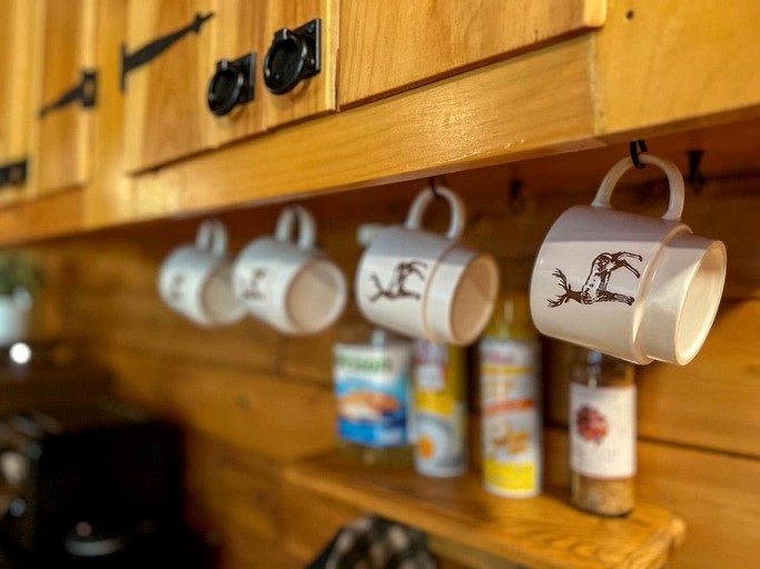 Log Cabins (United States of America, Denmark, Maine)