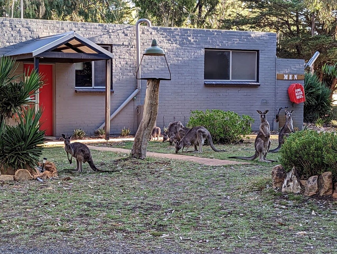 Awesome Pet-Friendly Tiny House with Great Outdoor and Pool Table in Victoria, Australia