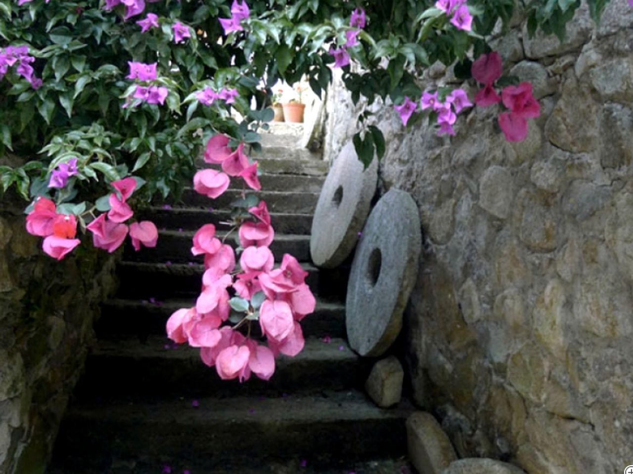 Gorgeous Cottage Rental with a Pool near Sintra in Portugal