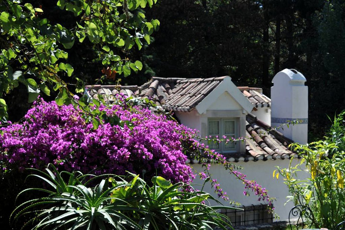 Gorgeous Cottage Rental with a Pool near Sintra in Portugal