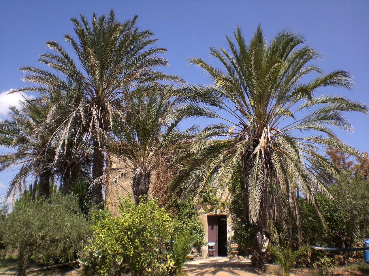 Charming Bell Tent Rental Situated near Trapani, Sicily