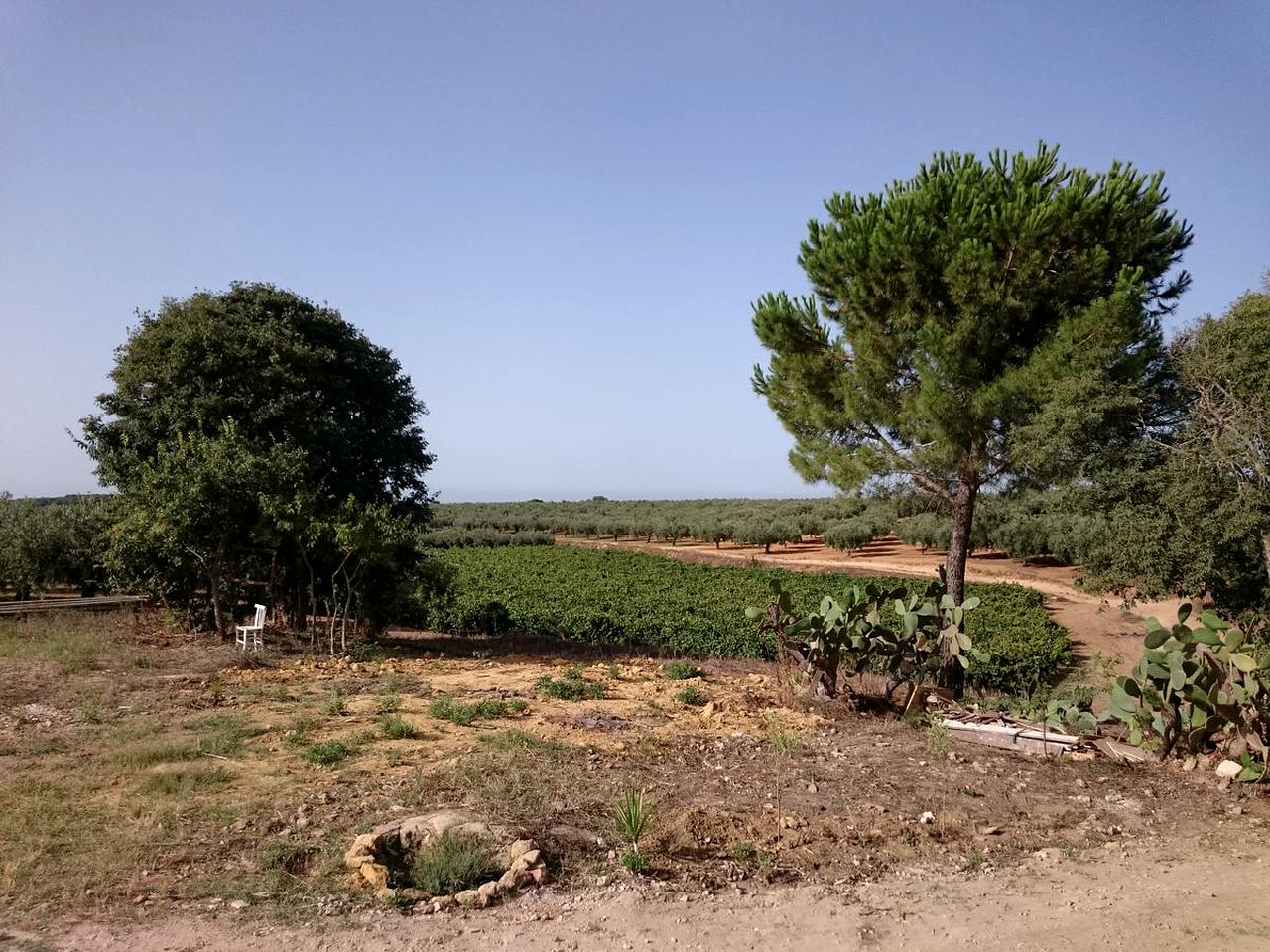 Private Bell Tent Rental with Breathtaking Views near Marsala, Sicily