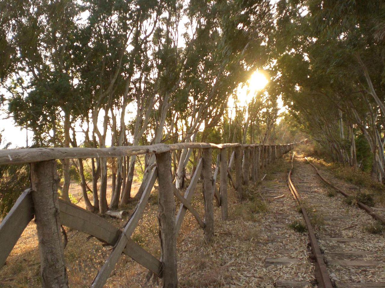 Private Bell Tent Rental with Breathtaking Views near Marsala, Sicily