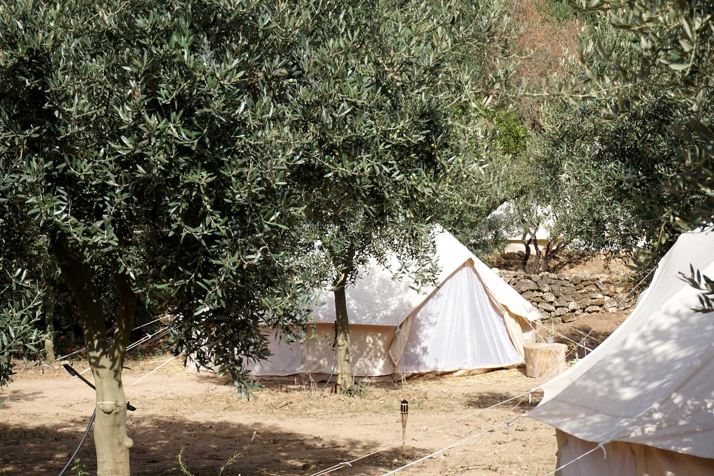 Cozy Bell Tent Rental Nestled in the Countryside for Glamping Getaway near Trapani, Sicily