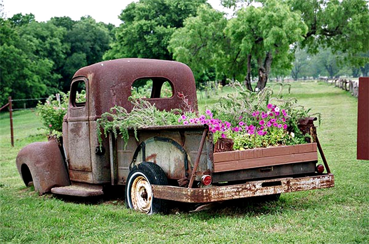 Relaxing Family-Friendly Glamping Rental in Marion, Texas: Luxurious Safari Tent on the Cibolo Creek