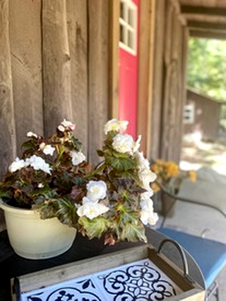Cozy Cabin with Porch & Live Music Weekend Stay in Voluntown, Connecticut
