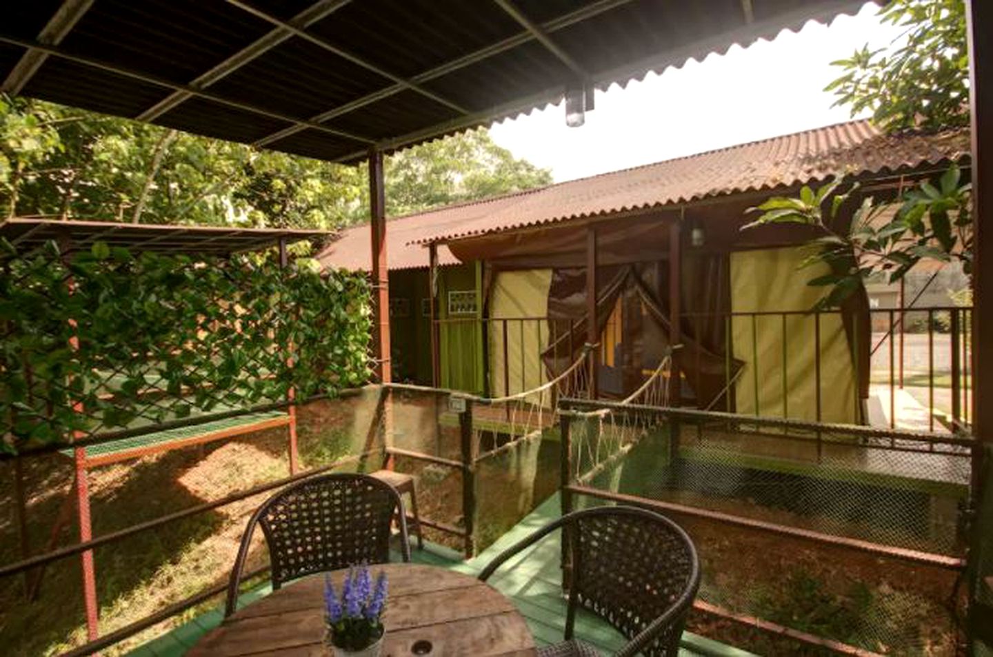 Safari Tents (Phuket, Southern Thailand, Thailand)