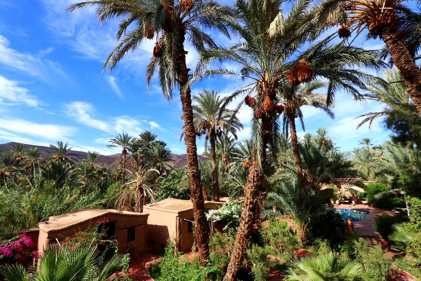 Enchanting Accommodation for Two in a Desert Oasis near Agdz, Morocco