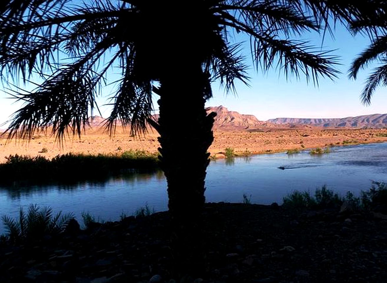 Luxurious Accommodation for an Oasis Vacation in the Draa Valley of Morocco