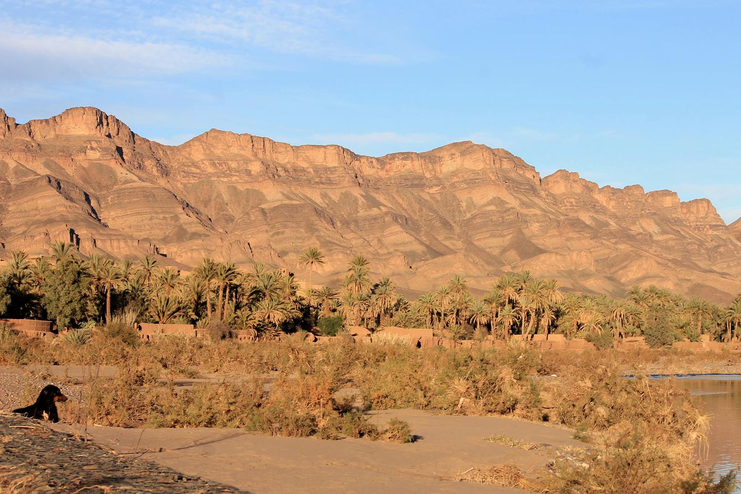 Picturesque Room Rental for a Desert Vacation near Ouarzazate, Morocco