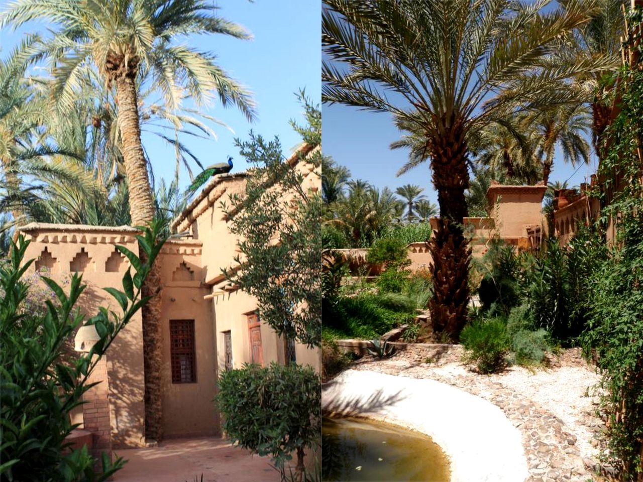 Charming Desert Oasis Accommodation for Two near Ouarzazate, Morocco