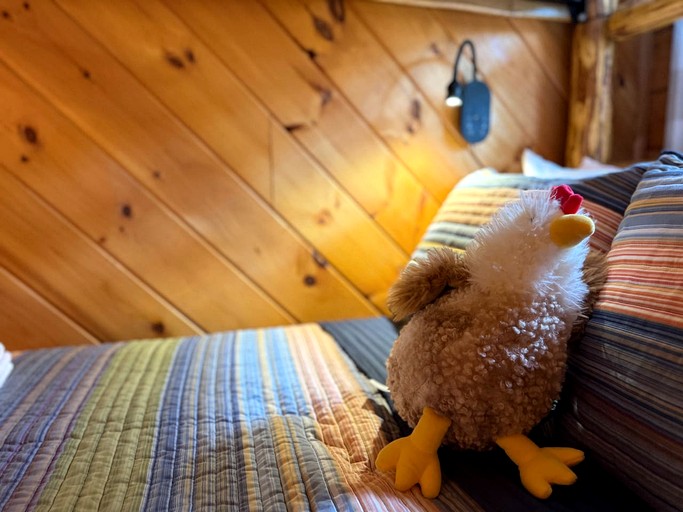 Vacation Rentals (United States of America, Conway, New Hampshire)