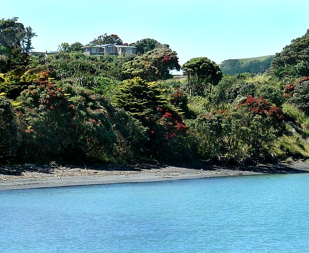 Vacation Rentals (Mokau, North Island, New Zealand)