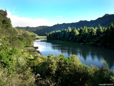 Stunning Rental with Water Views in Mokau, North Taranaki, New Zealand photo 5