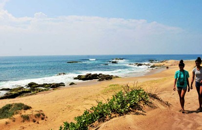 undefined photo 4