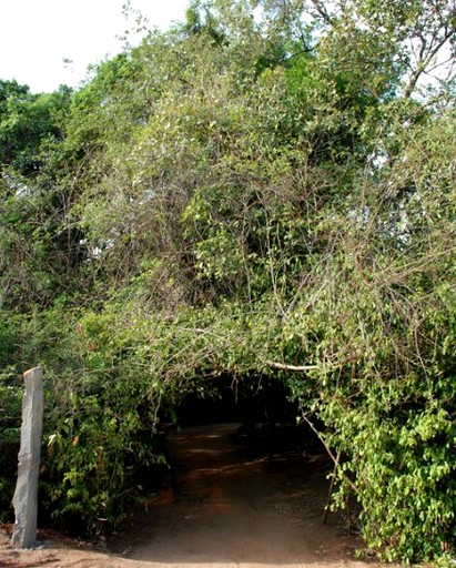 Vacation Rentals (Sigiriya, Central Province, Sri Lanka)