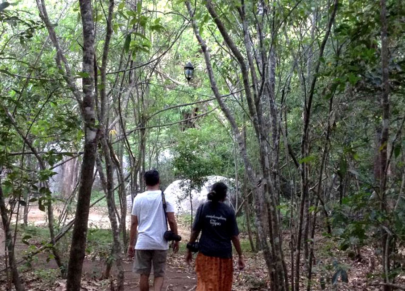 Delightful Glamping Accommodation at the Base of Pidurangala Rock in Sigiriya, Sri Lanka