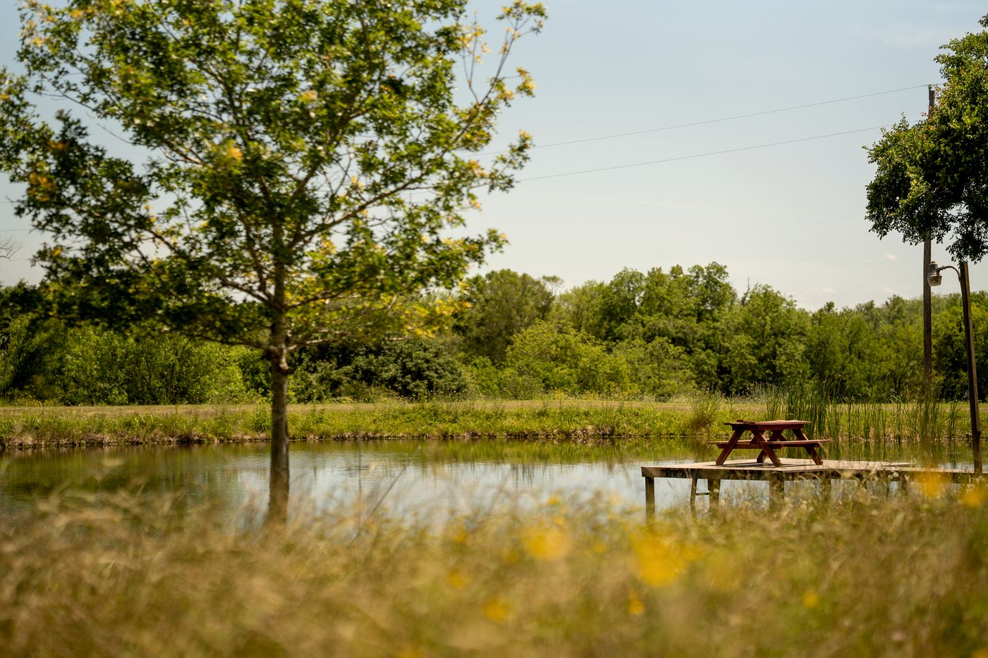 Charming Historic Cabin with Wood-Burning Stove near StarHill Farms in Texas