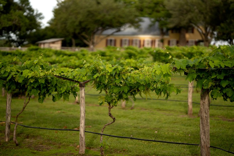 Cabins (United States of America, New Ulm, Texas)