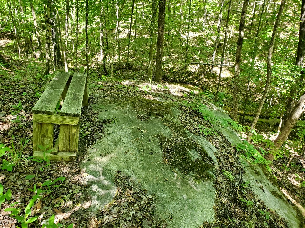 Secluded Woodland Geodome with Panoramic Views & Private Trails in Milledgeville, Georgia